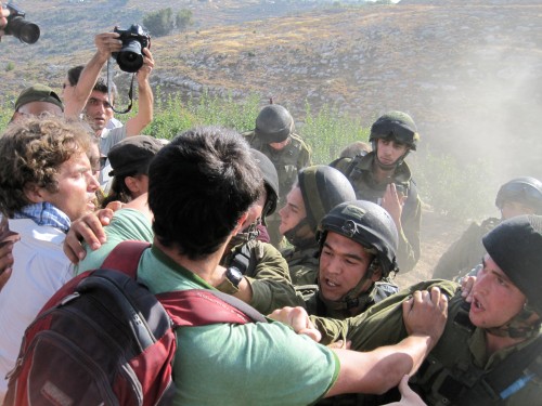 IDF and Border Police pushing Taayush activists